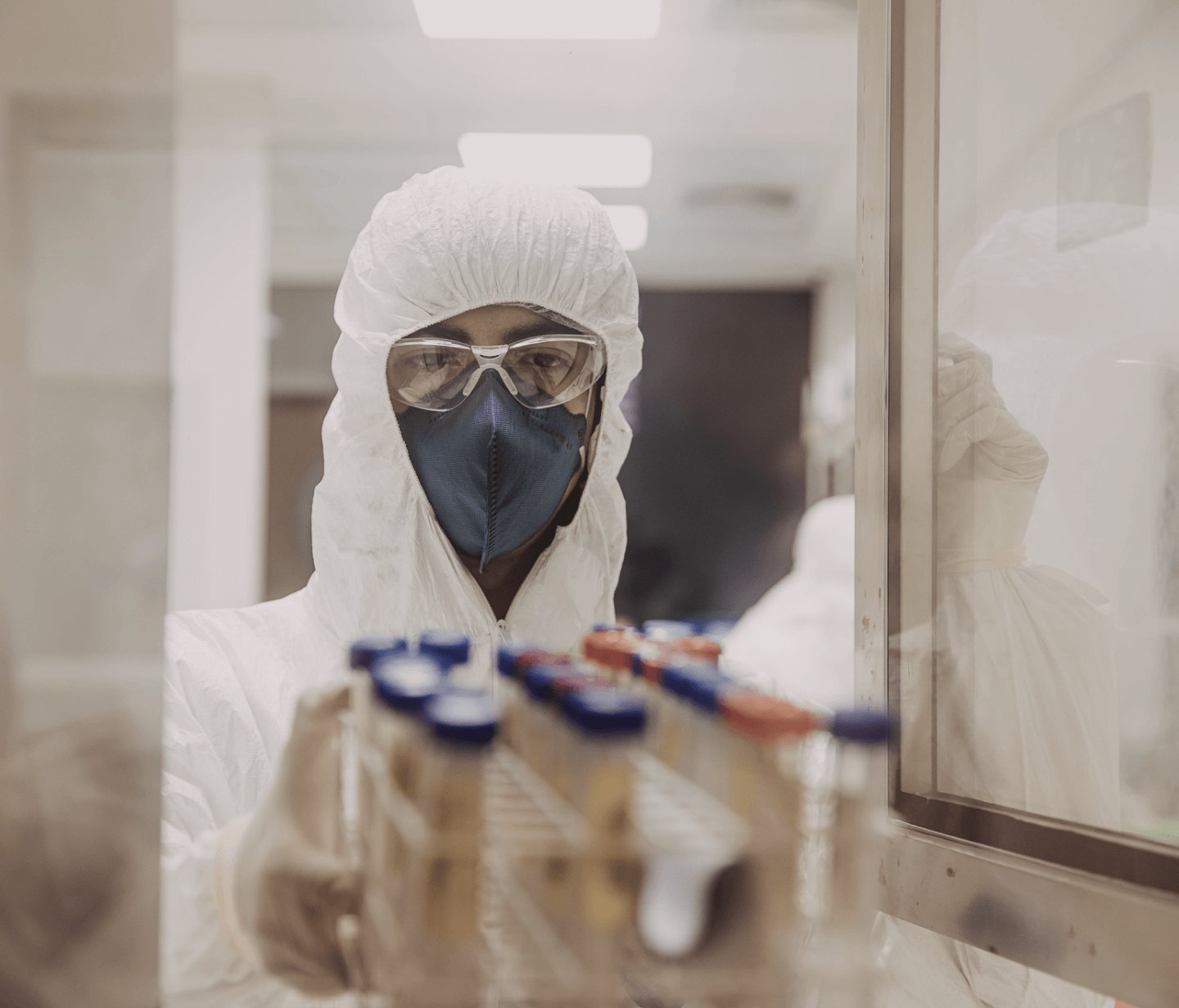 pandemia pandemia